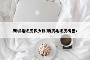 新城毛坯房多少钱(新房毛坯房出售)