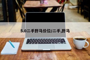 5.0二手野马价位/二手,野马