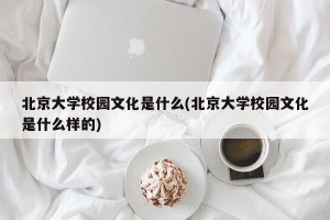 北京大学校园文化是什么(北京大学校园文化是什么样的)