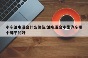 小车油电混合什么价位/油电混合小型汽车哪个牌子的好